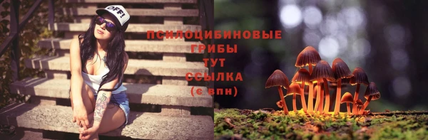 прущая мука Михайловск