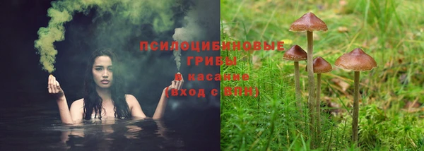 ECSTASY Медногорск