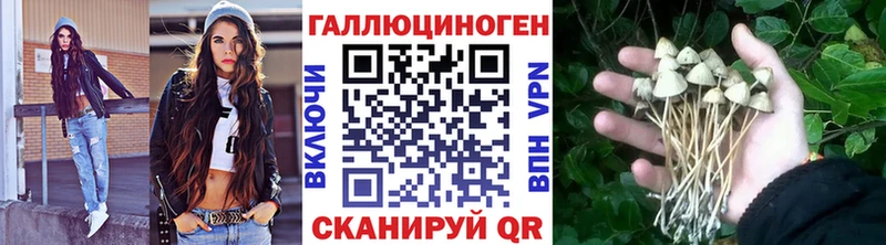 Псилоцибиновые грибы мицелий  Купить где  Ленск 